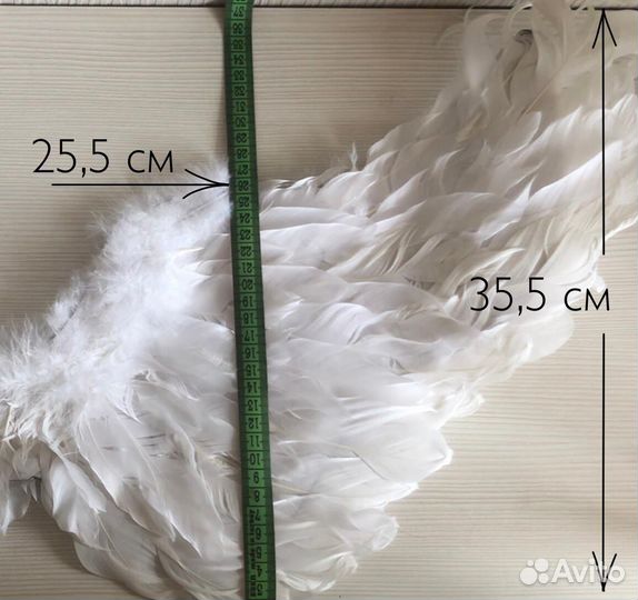 Крылья ангела