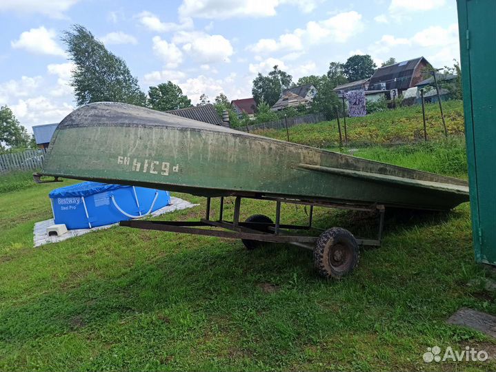 Казанка южанка