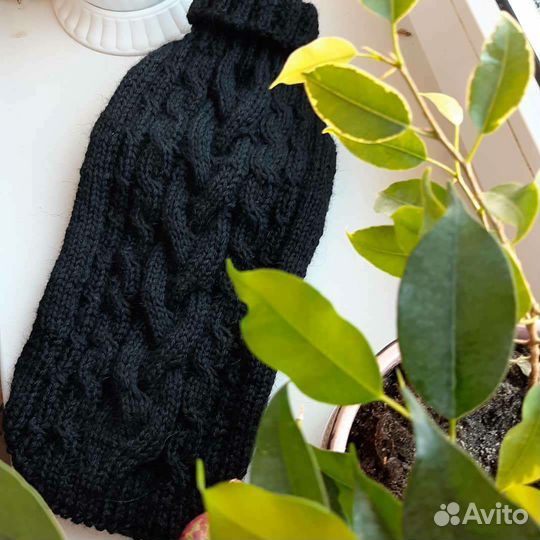 Одежда для животных