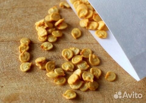 Семена перца декоративного(съедобного )