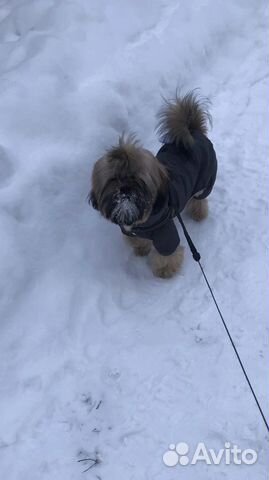 Комбинезон утепленный на собаку