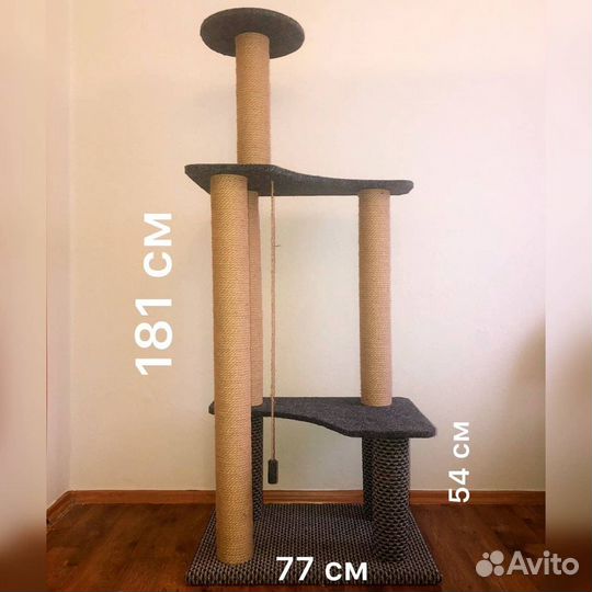 Когтеточка