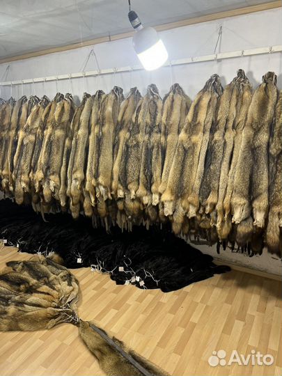 Шкуры волков