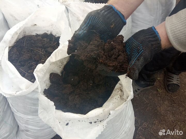 Перегной - навоз