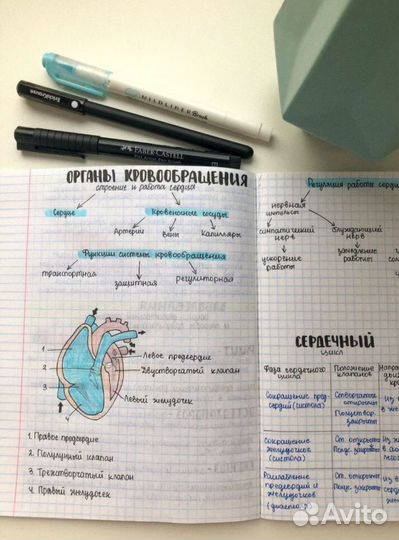 Написание лекций или конспектов