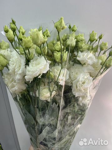 Цветы свежие оптом