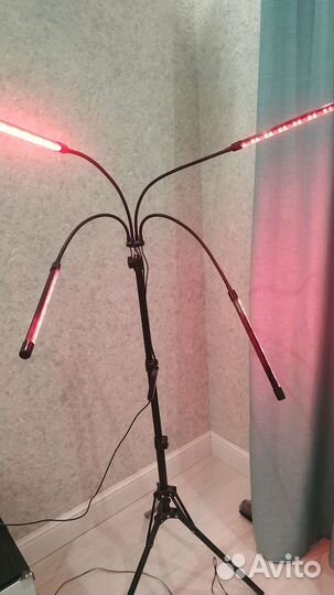 Фитолампа для растений