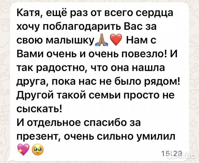 Передержка для собак, грызунов