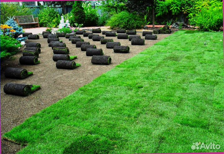 Рулонный газон
