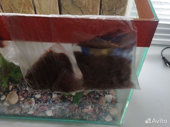 Аквариум для рыбок с фильтром