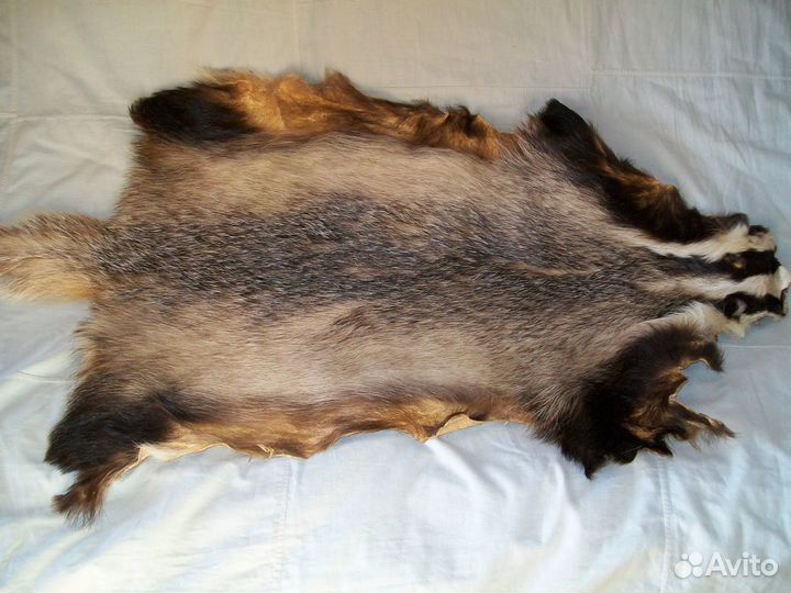 Шкуры лис и барсука