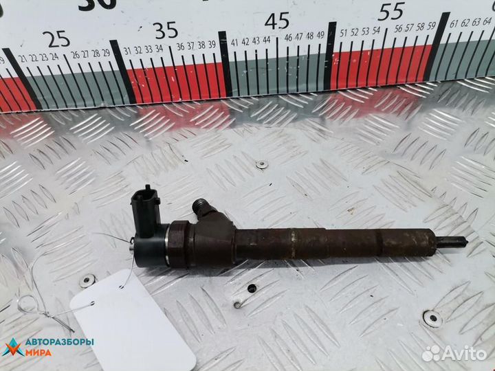 Форсунка Opel Insignia (A) 2010 55566050