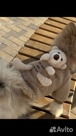 Свитер для маленьких собак