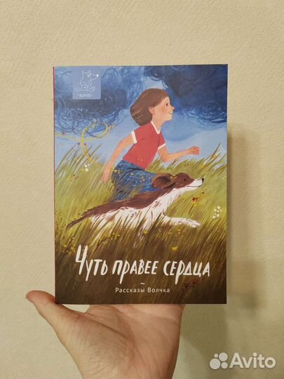 Чуть правее сердца. Дашевская. Волчок