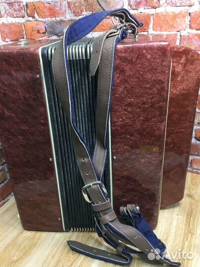 Баян огонек 2