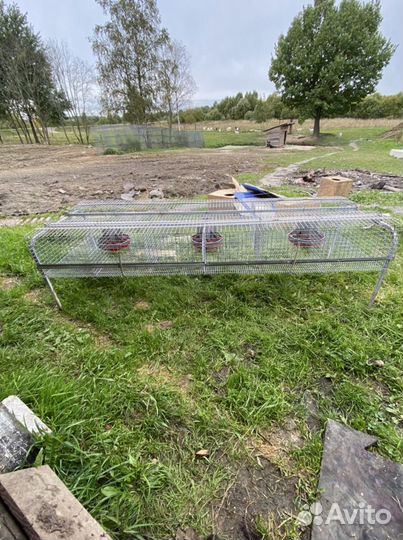 Клетки для кроликов бу
