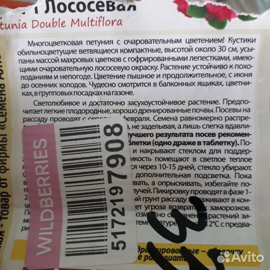 Петунья 6 см двойной цветок (как Гибискус)