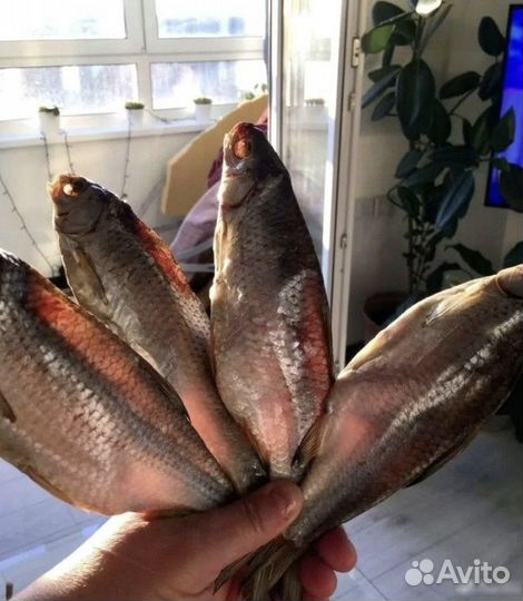 Вобла вяленая из Астрахани