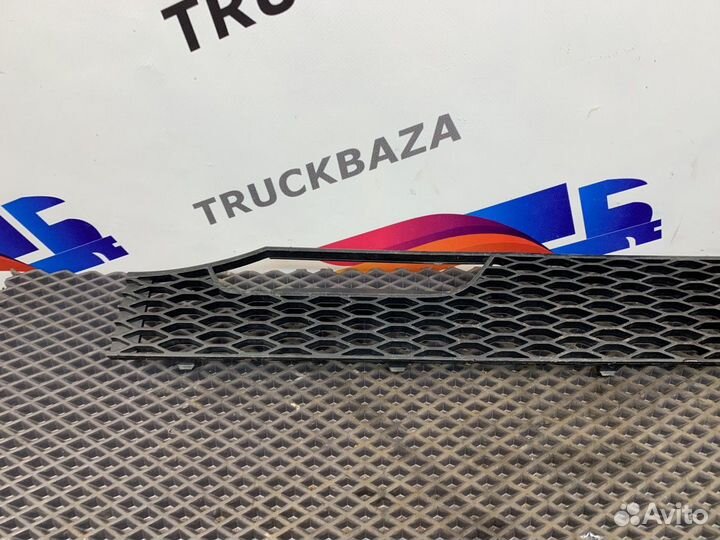 9437514818 Сетка решетки радиатора правая