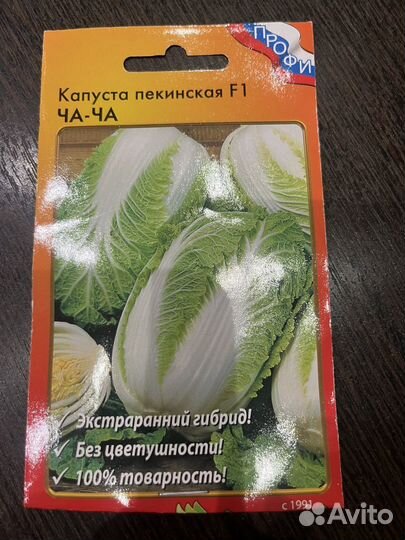 Рассада пекинской капусты