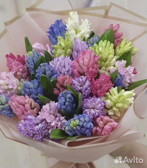 Гиацинты букет