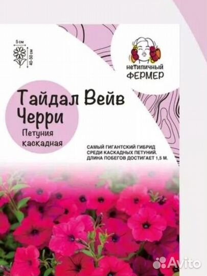 Тайдалы петуния