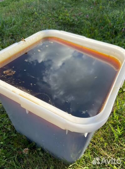 Мед оптом с Алтая / Экспорт в Китай и снг