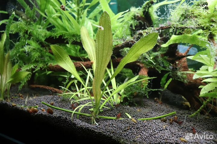 Аквариум с тумбой