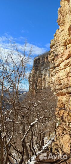 Собеседник 