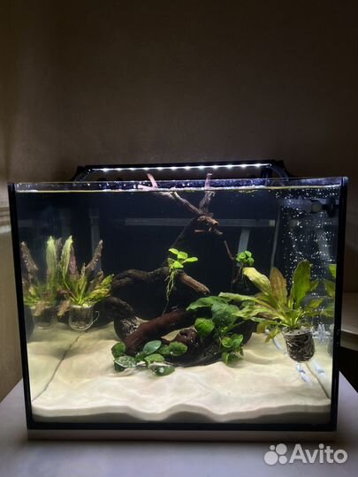 Коряга для аквариума