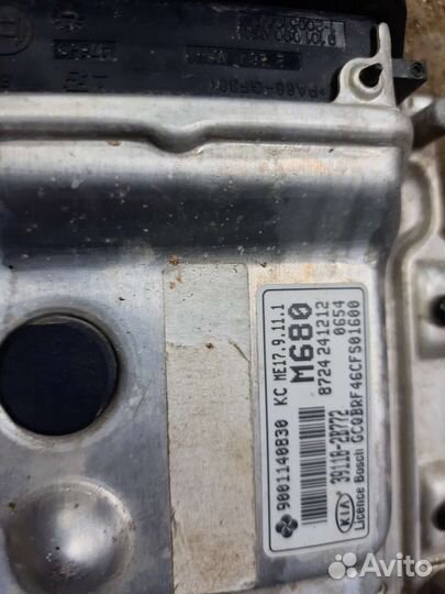 Kia rio 3 мозги