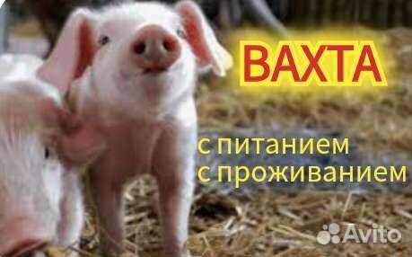 Оператор Вахта Орёл+еда, жильё