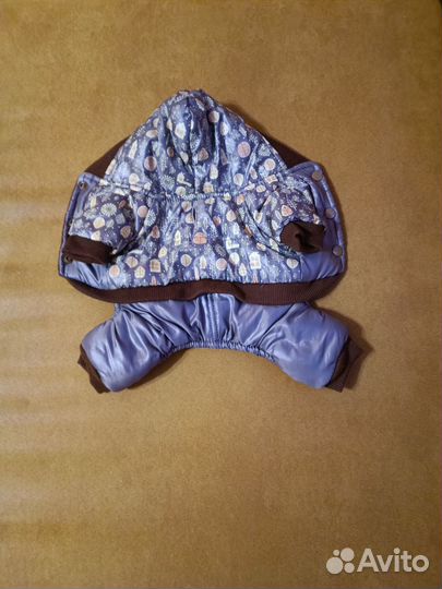 Одежда для собак мелких пород зима