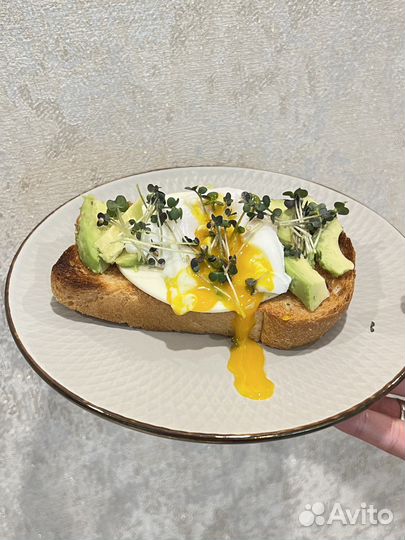 Микрозелень горчицы