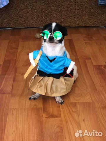 Наряд для животного