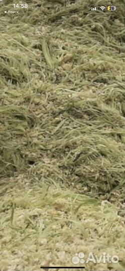 Силос кукурузный