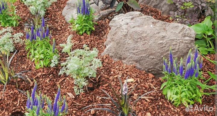 Кора лиственницы