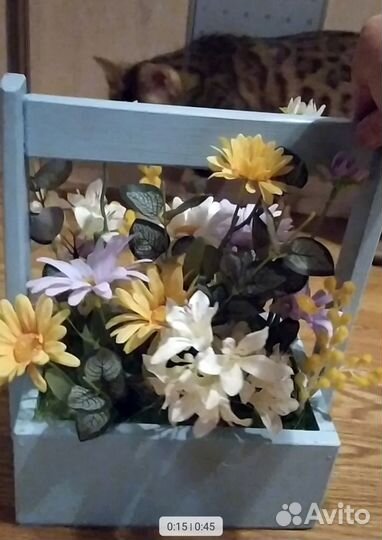 Интерьерные цветы