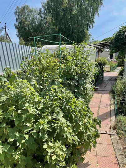 Дом 62 м² на участке 6 сот.