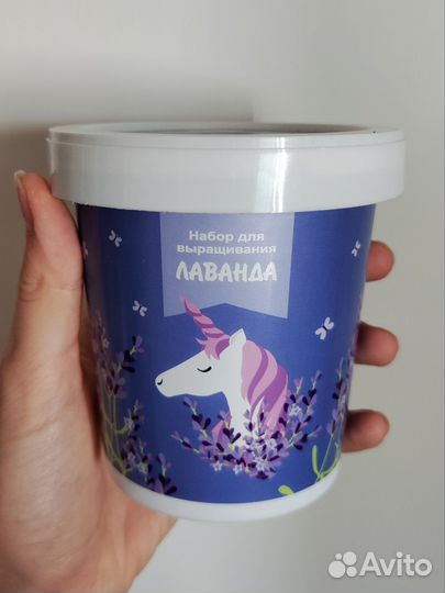 Лаванда Набор для выращивания растений