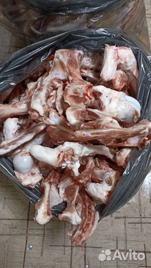 Мясо и кости для собак