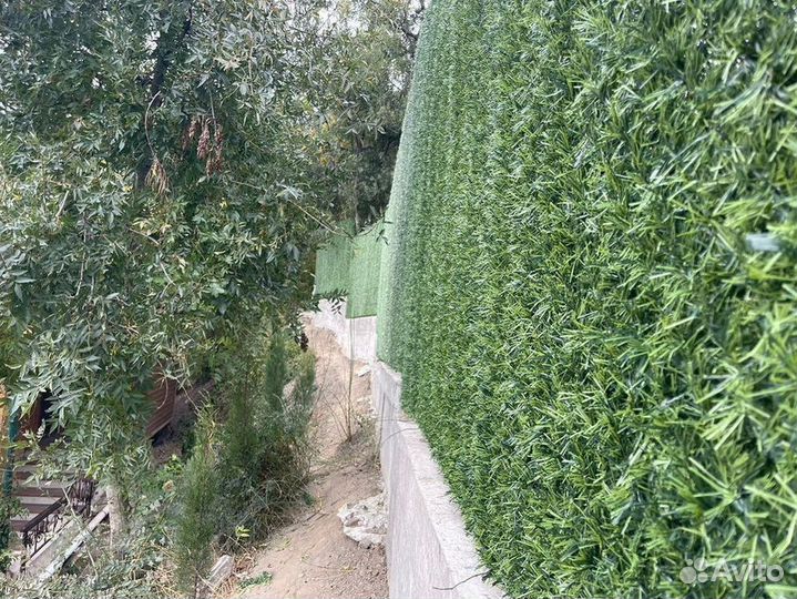 Зеленый забор/изгородь