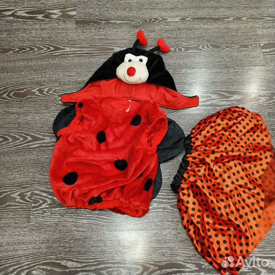 Костюм божия коровка