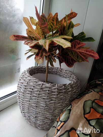 Кашпо из ротанга 12 литров