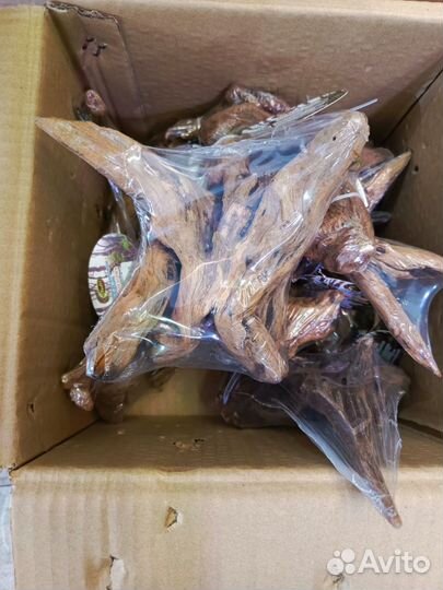 Коряги мангровые