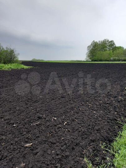 Дача 27 м² на участке 42 сот.