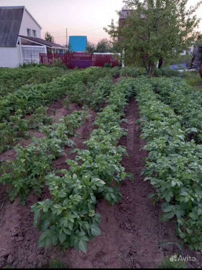 Дача 20 м² на участке 5 сот.