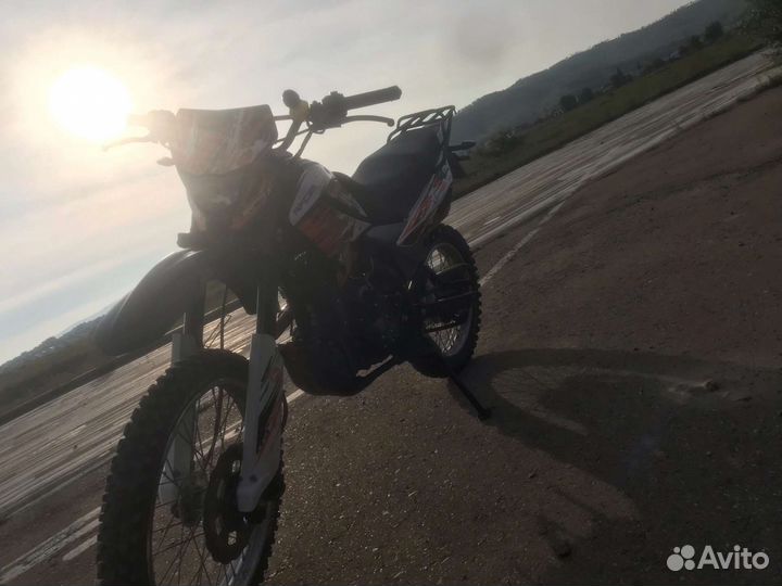Racer panter 300