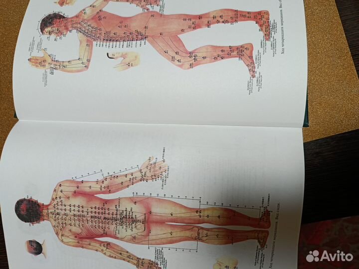 Основы китайской медицины, Сы Хуайджу, Лузина Лили