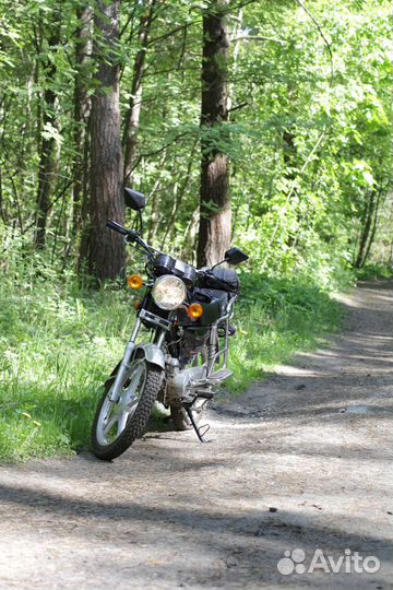 Альфа зид yx50-c9